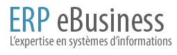 ERP eBusiness - L’expertise en systèmes d’informations